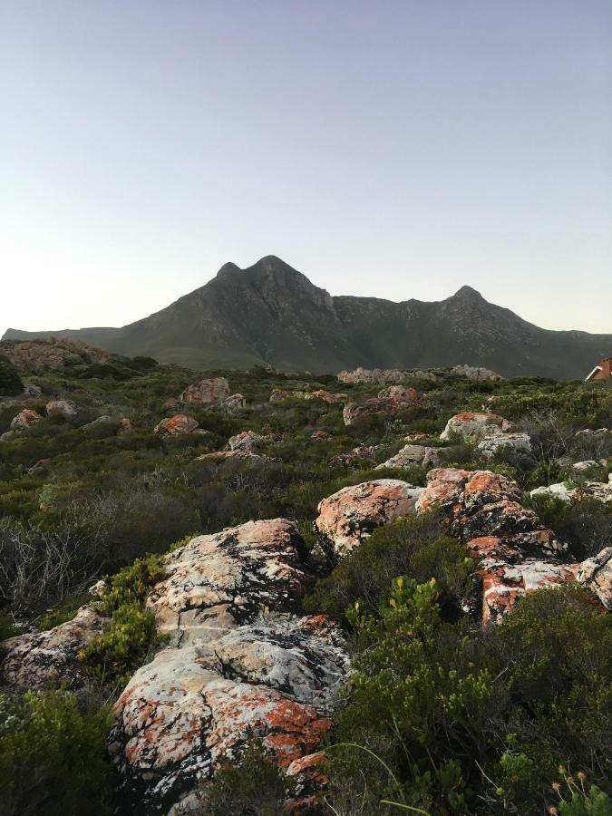 Apartament Rondawel With Sea View Kleinmond Zewnętrze zdjęcie