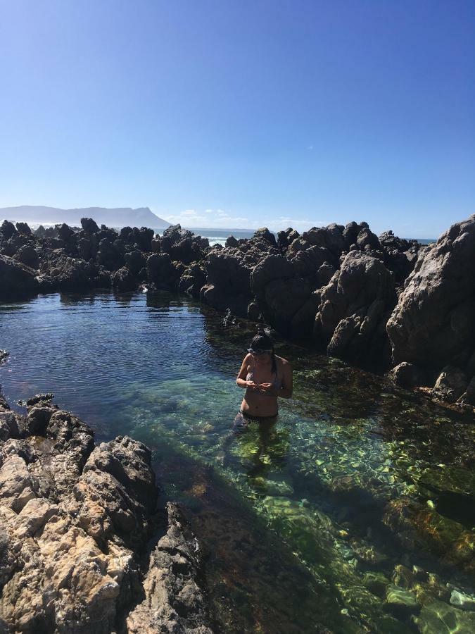 Apartament Rondawel With Sea View Kleinmond Zewnętrze zdjęcie